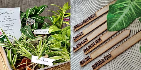 Have you explored Wandering Roots, yet?