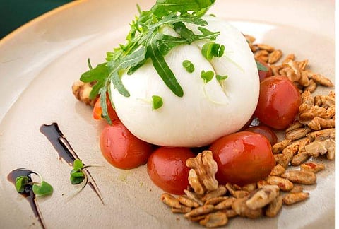 Fresh Mozzarella from Olive