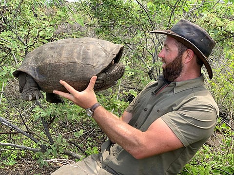 Forrest with Tortoise