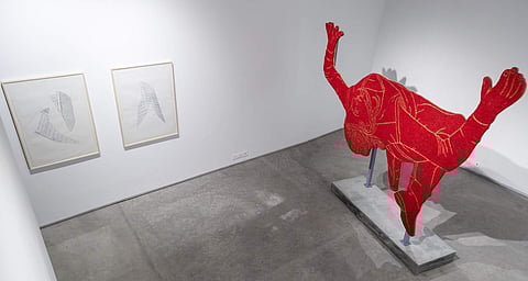 Praneet Soi's Hold Still installation at Experimenter