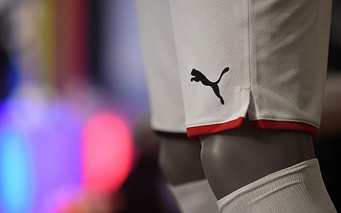 Puma (AFP/Christof Stache)