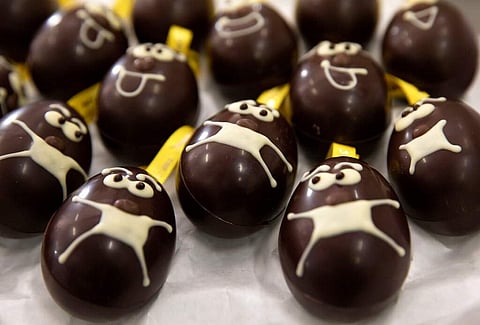 A tray of chocolate Easter eggs with face masks are laid out on a tray at the Chocolate Line warehouse of Dominique Persoone in Bruges, Belgium. (AP Photo/Virginia Mayo)
