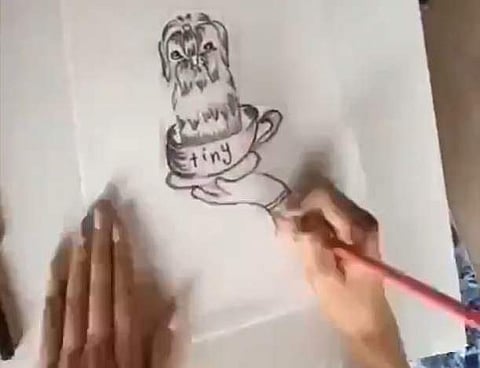 Anya the artist (Image: Internet)