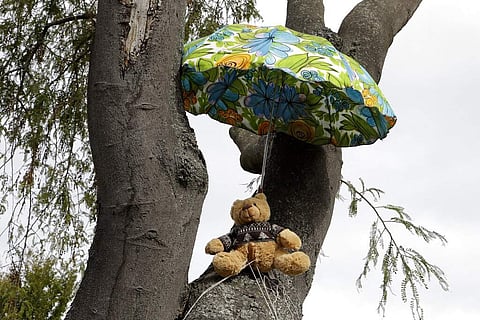 A teddy bear sits in a tree in Christchurch. New Zealanders are embracing a global movement in which people place teddies in their windows to brighten the mood. (AP Photo/Mark Baker)