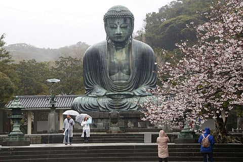 People visit the Kotoku-in Temple to see the Big Buddha and cherry blossoms in Kamakura, near Tokyo. (AP Photo/Koji Sasahara)