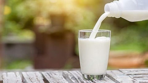 Milk can boost your immunity
