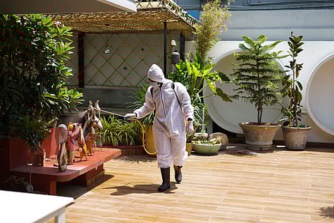 Fumigation at Orka Café