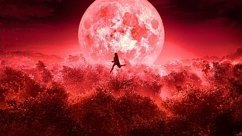 Poster of the film Bulbbul