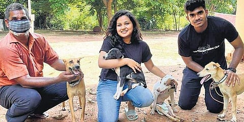 Diffusing the deer-dog duel