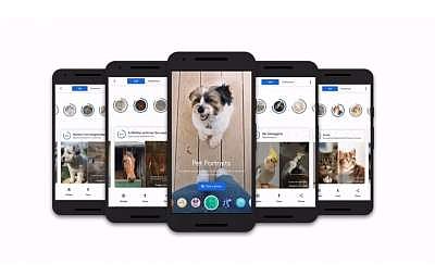 Google's Pet Portraits