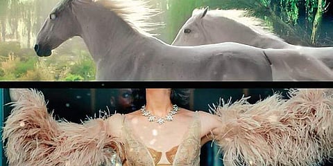 Gucci NFT; (below) Maradona NFT.