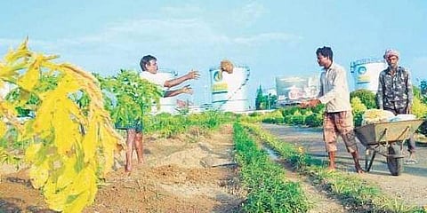 From being the world’s first fully solar-powered airport, Cochin International Airport Ltd (CIAL) achieved another milestone in sustainable development.