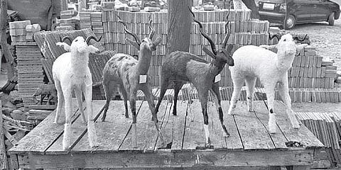 ‘New Delhi 2006 (b)’ from the ongoing series Rememory, 2003