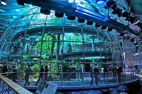 This Valentine's Day, take your loved one on a virtual tour of San Francisco