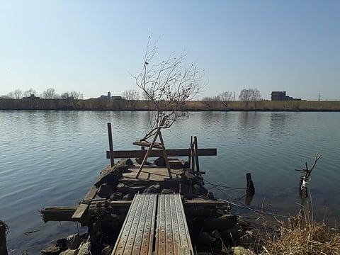Ikebana with Found Objects by Suresh Jayaram