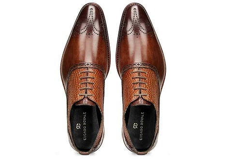 Brown Mooney by Escaro Royale