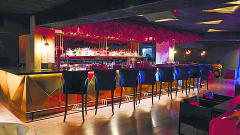 SIn & Tonic interiors