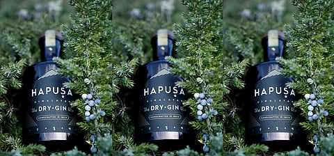 Hapusa Gin