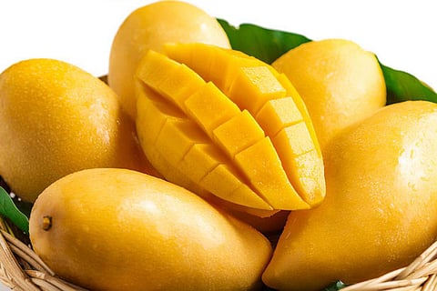 Mango recipes