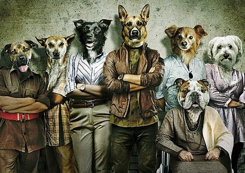 Aasmaan Bhardwaj's directorial debut Kuttey to star Arjun Kapoor, Tabu, Naseeruddin Shah and Konkona Sen Sharma among others