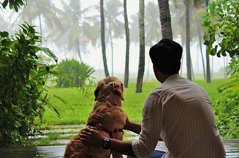 On International Dog Day today, we look at some of the pet-friendly staycation options in India. (In pictures: Taj Exotica Resort & Spa, Goa)