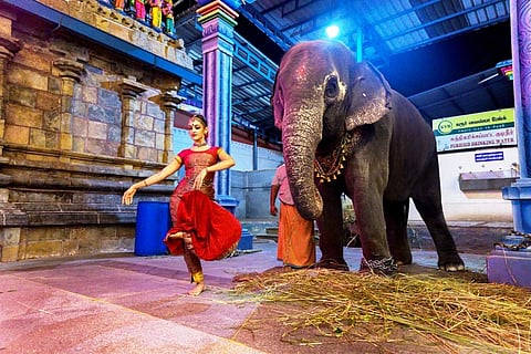 Image from Discovering Devi