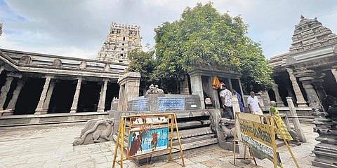 Kanchipuram redefined my idea of faith