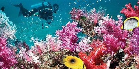Snorkel among fish and admire breathtaking corals at Mahatma Gandhi Marine National Park, a live aquarium off Andaman coast