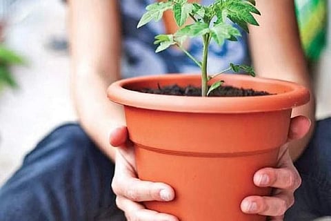 Image used for representational purpose only