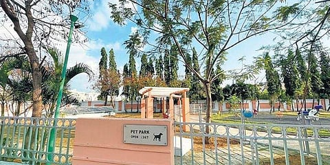 Bollineni Hillside, a park exclusively for pets
