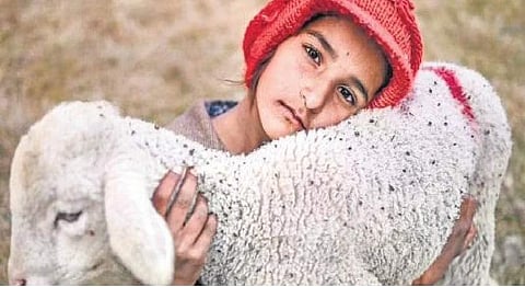 A picture by Abhishek C Jayaprakash