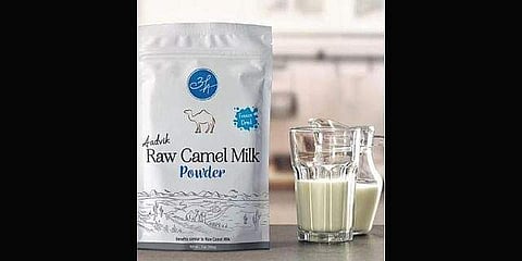 Aadvik's camel milk powder