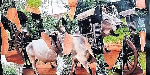 Interwoven exhibition