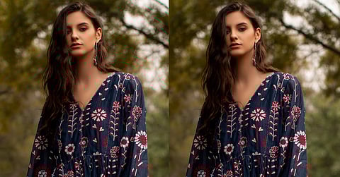 A dress by Payal Pratap