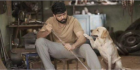 A still from 777 Charlie