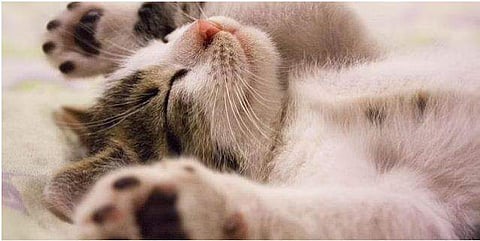 Image used for representation