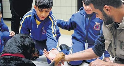 A canine therapy dog with children with special needs