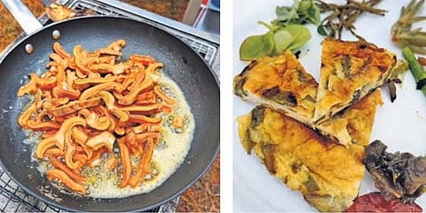 Mushrooms being sauteed(L), A meal made from foraged greens, weeds, and mushrooms (R).