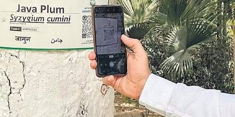 A close-up view of the placard with a QR code