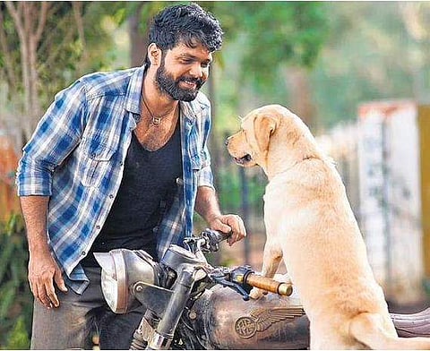 Rakshit Shetty in 777 Charlie