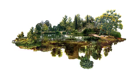 Julia Romano's works