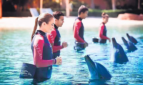 Atlantis, The Palm, Dubai