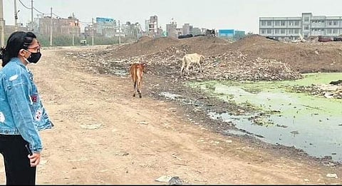 An image clicked by the team while in the process of devising the Malba Map