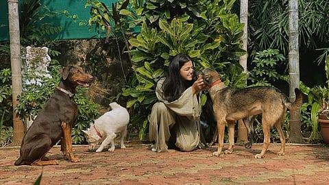 Wamiqa Gabbi has been an advocate of animal rights