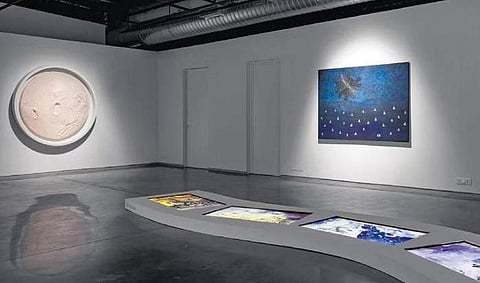 Exploring ecology through art