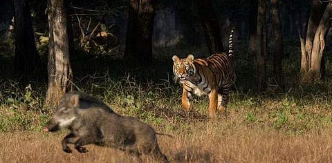 Photo | Masood Hussain