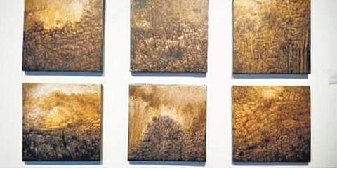 Binu Kottarakara's artwork