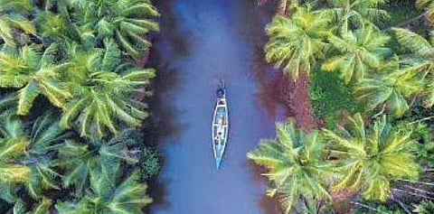 Representative image