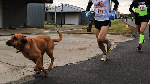 Spend this Independence Day participating in a marathon for a noble cause