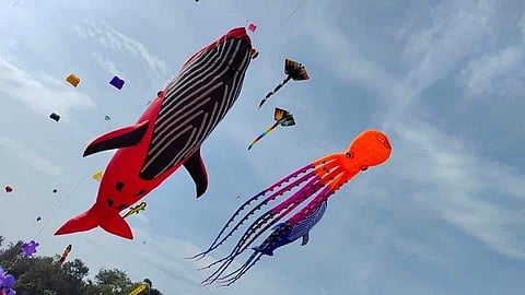 A glimpse from the Kite festival